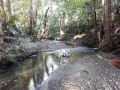 Tranquil rainforest homestay by river, free wifi Guest house, Queensland - thumb 13