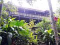Tranquil rainforest homestay by river, free wifi Guest house, Queensland - thumb 12