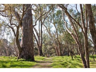 Heavenly Hideaway Coastal Inspired Apt Near Airport Apartment, Perth - 5