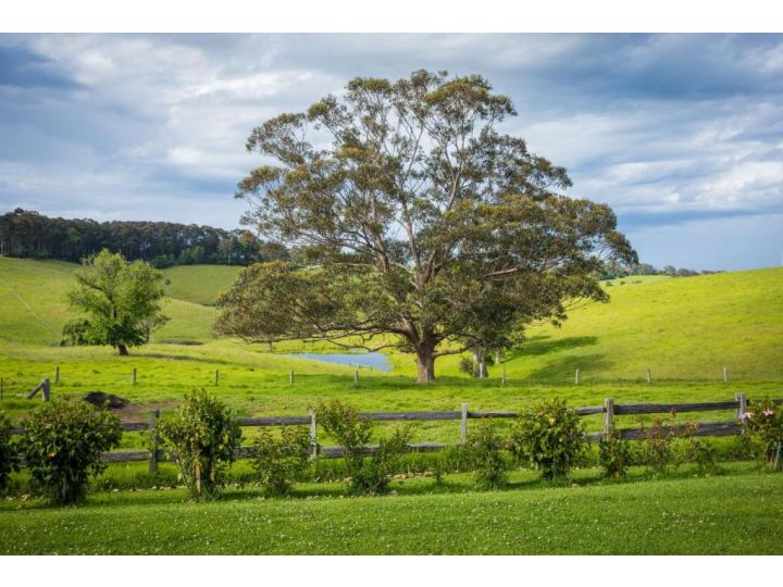 Henkley Cottage 1 - Isaiah Guest house, Central Tilba - imaginea 17
