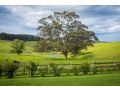 Henkley Cottage 2 - Jeremiah Guest house, Central Tilba - thumb 17
