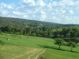 Hermitage Cottage Bed and breakfast, Kurrajong - 5