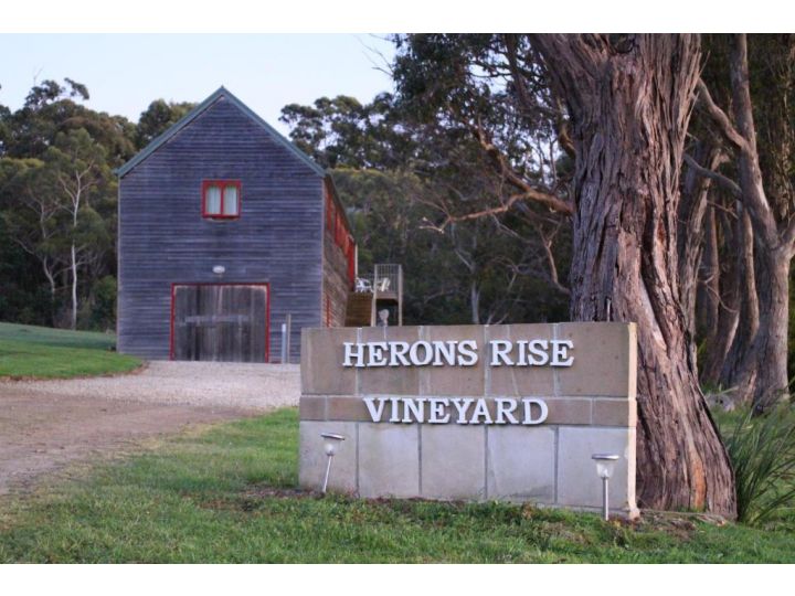 Herons Rise Vineyard Accommodation Bed and breakfast, Kettering - imaginea 2