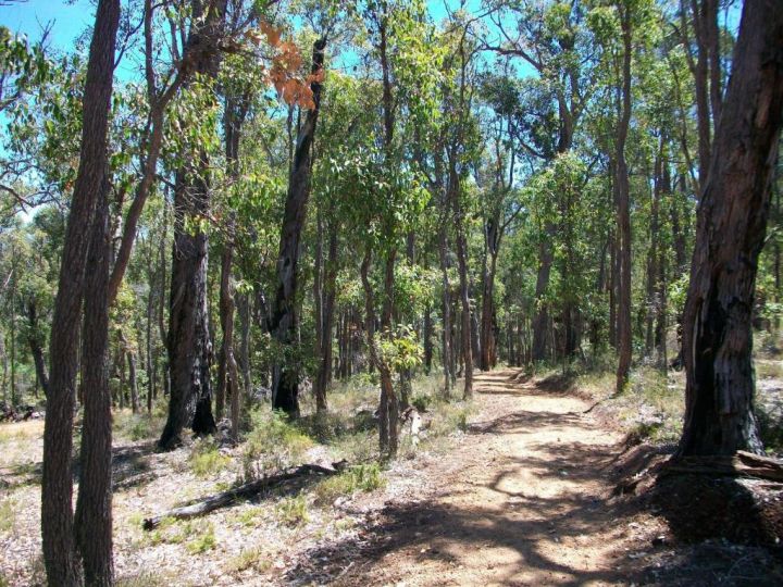 Hidden Grove Retreat Chalet, Western Australia - imaginea 10