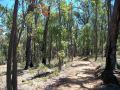 Hidden Grove Retreat Chalet, Western Australia - thumb 10