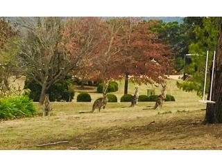 Highfield Cottage Hotel, Macedon - 1