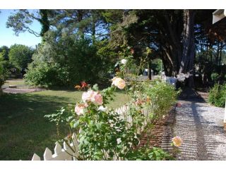 Hillside Cottage Berrima Guest house, Berrima - 4