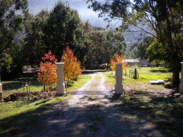 Hillview Oak B&B Bed and breakfast, New South Wales - imaginea 5