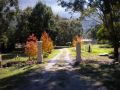 Hillview Oak B&B Bed and breakfast, New South Wales - thumb 5