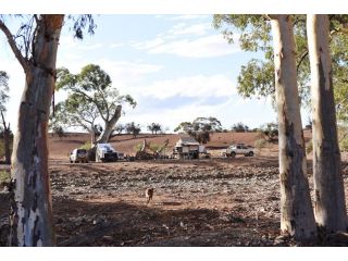 Holowiliena Station & The Outback Blacksmith Farm stay, Flinders Ranges - 1
