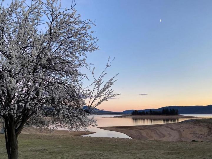 Horizons 216 - Lake Jindabyne Waterfront Guest house, Jindabyne - imaginea 13