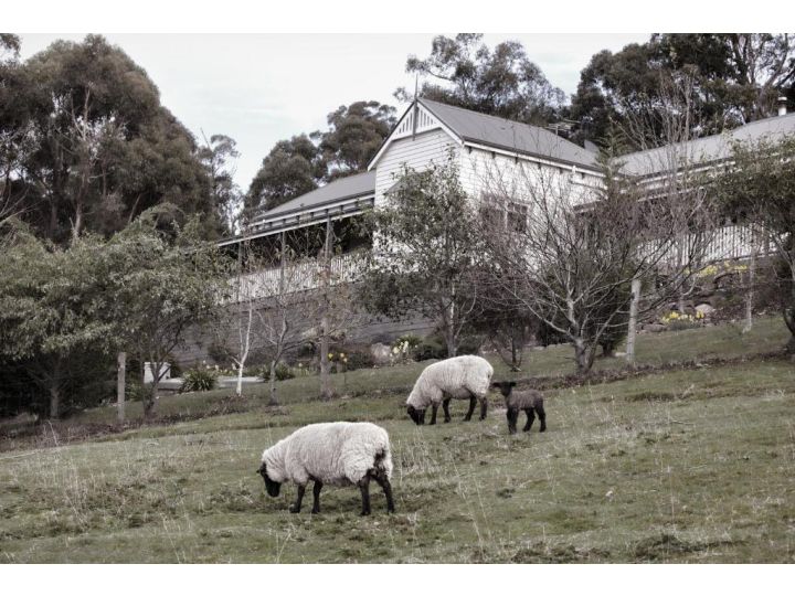 House on the Hill Bed and Breakfast Bed and breakfast, Huonville - imaginea 19