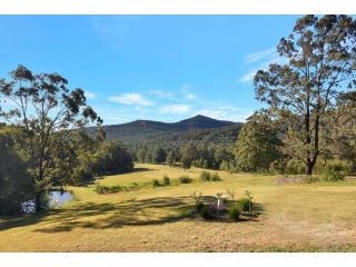 Hunter Valley Kangaroo Retreat with 60 Kangaroos Guest house, New South Wales - 4
