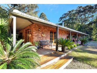 Hunter Valley Kangaroo Retreat with 60 Kangaroos Guest house, New South Wales - 2
