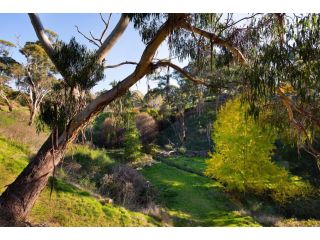 Illoura Guest house, Hepburn Springs - 5