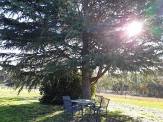 Indigo Vineyard Farmstay Guest house, Beechworth - 4