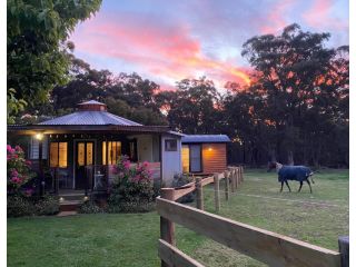 Ionaforest Yurt & Shepherds Hut Farm stay, New South Wales - 2