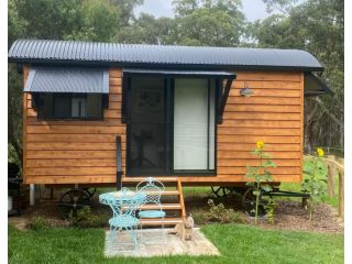 Ionaforest Yurt & Shepherds Hut Farm stay, New South Wales - 5