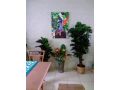 Jackies City Central Apartment Apartment, Cairns - thumb 16