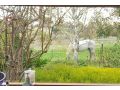 Jory Cottage Guest house, Creswick - thumb 19
