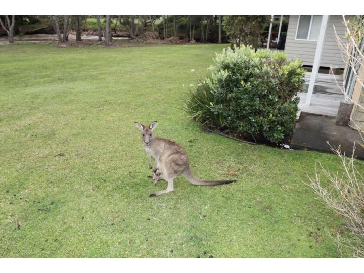 Kangaroo Cabin Chalet, Berrara - imaginea 4