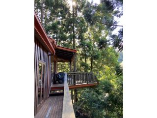 Cottage In The Woods - Formerly King Ludwigs Cottage Guest house, Maleny - 3