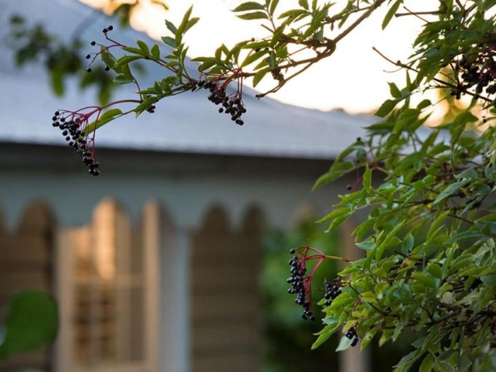 Kings Cottage Guest house, Daylesford - imaginea 19