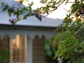 Kings Cottage Guest house, Daylesford - thumb 19