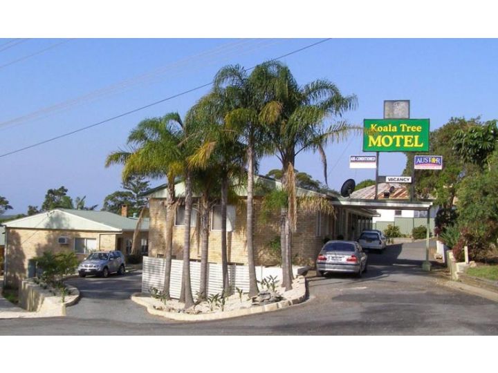 Koala Tree Motel Hotel, Port Macquarie - imaginea 1