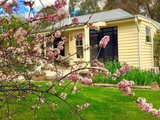 Koovelly Garden Studio Guest house, Hepburn - 4