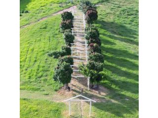 KUR-Cow farm escape 35 minutes from Cairns Campsite, Kuranda - 5