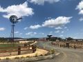 KUR-Cow farm escape 35 minutes from Cairns Campsite, Kuranda - thumb 16