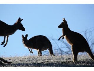 La Boheme Secluded Luxury Spa Villa Guest house, Daylesford - 5