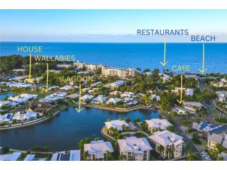 Lagoon Palms- walking distance to the beach! Guest house, Trinity Beach - 1