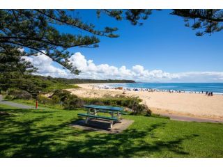 Lavender Cottage Guest house, Australia - 1