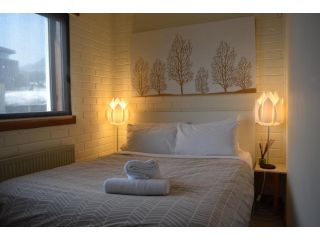 Lawlers 20 Apartment, Mount Hotham - 5