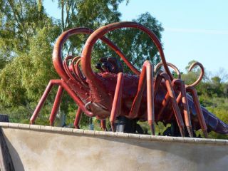 Leander Reef Holiday Park Accomodation, Western Australia - 4