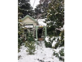 Lemon Tree Cottage Guest house, Leura - 4
