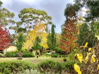 Naturescape Guest house, Margaret River Town - 1