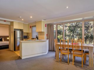 Lhotsky 1 Bedroom apartment with tranquil outlook and onsite parking Apartment, Thredbo - 5