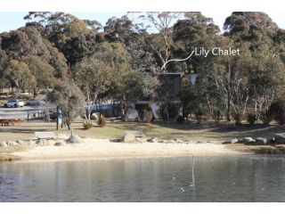 Lily Chalet Snowy Mountains Chalet, Crackenback - 4