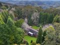 Linden Guest house, Mount Wilson - thumb 11