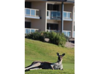 Lady Bay Hotel Hotel, Normanville - 5
