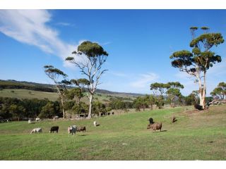 Back Valley Farmstay Bed and Breakfast Farm stay, Victor Harbor - 2