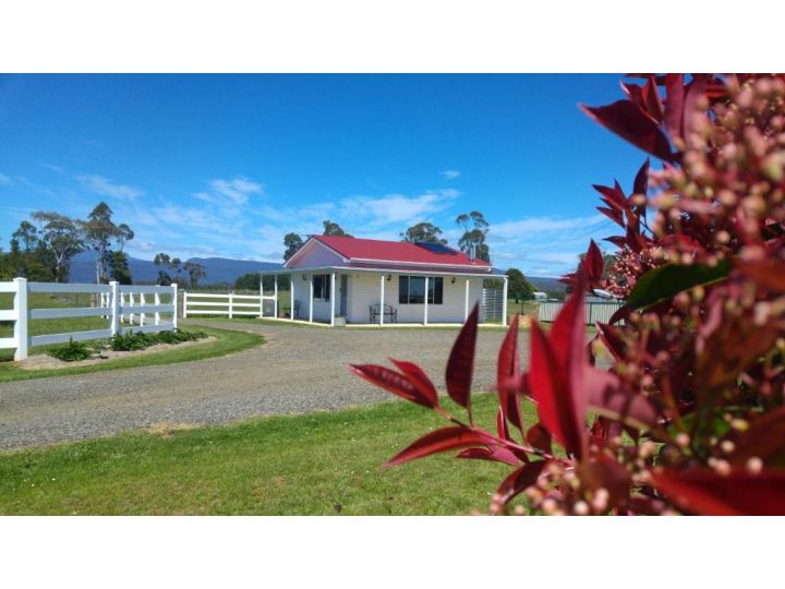 Little Sunnyside Accommodation Guest house, Tasmania - imaginea 8
