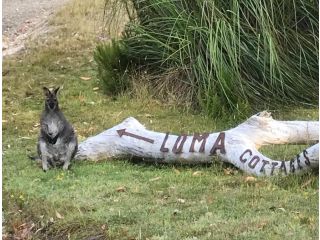 Loma Cottages Guest house, Bruny Island - 5