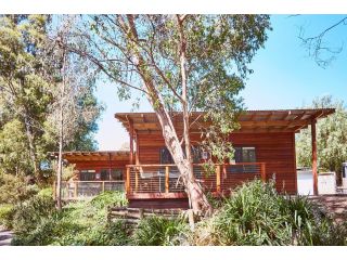 Lorne Foreshore Caravan Park Accomodation, Lorne - 2