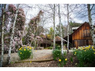 Lothlorien Guest house, Mount Beauty - 2