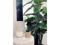 Coastal Lux BNB Luxurious Executive Apartment Apartment, Newcastle - thumb 20
