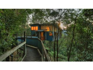 Lyola Pavilions in the Forest Villa, Maleny - 1